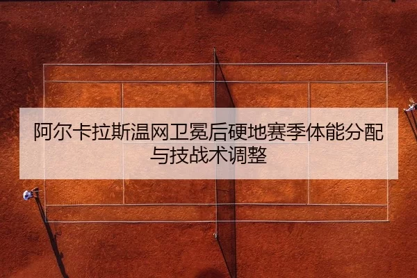 a-er-ka-la-si-wen-wang-wei-mian-hou-ying-di-sai-ji-ti-neng-fen-pei-yu-ji-zhan-shu-tiao-zheng-3-224.jpg